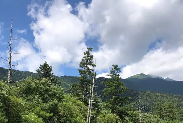 立山黒部アルペンルートの写真・動画_image_658972