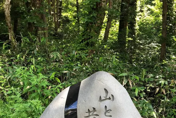 立山黒部アルペンルートの写真・動画_image_658973