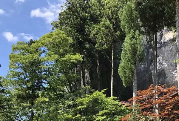 秩父駅の写真・動画_image_658992