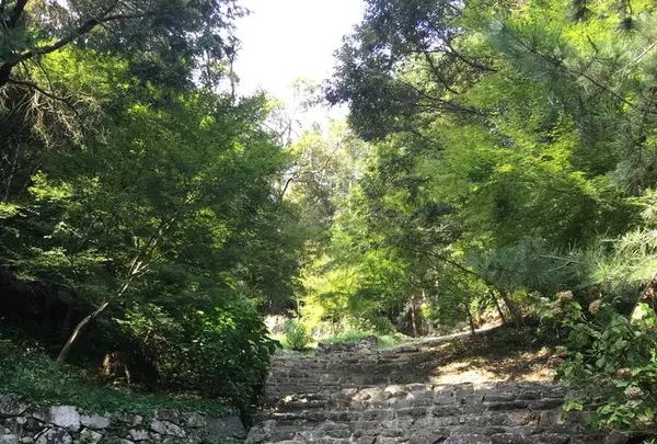 安土城跡の写真・動画_image_659391