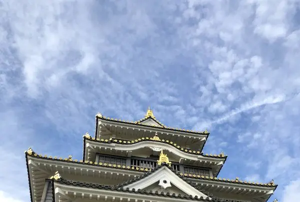 岡山城の写真・動画_image_661311