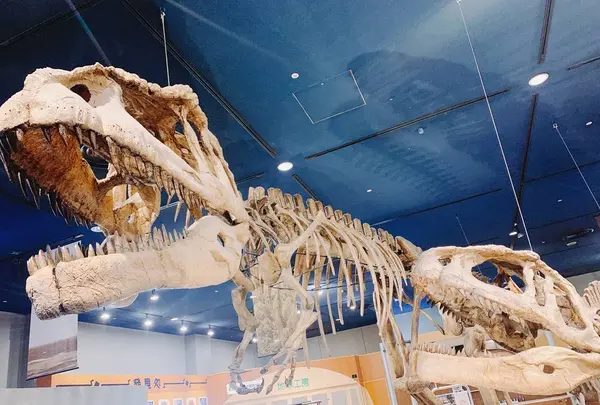 名古屋市科学館の写真・動画_image_661977