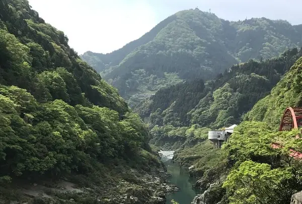 四国の写真・動画_image_662230