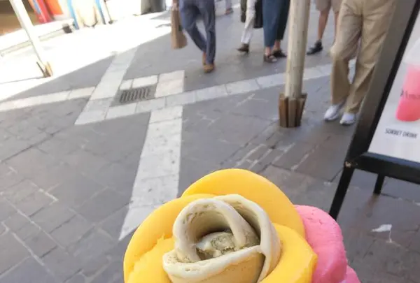 マルタ島の写真・動画_image_663124