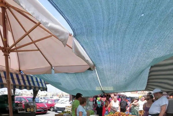 マルタ島の写真・動画_image_663130