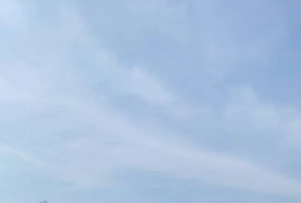 鶴の舞橋の写真・動画_image_663436