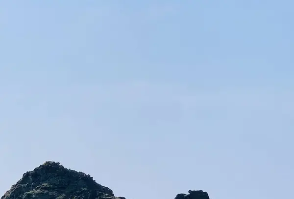 千畳敷の写真・動画_image_663440