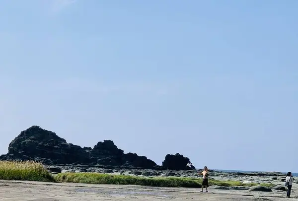 千畳敷の写真・動画_image_663441