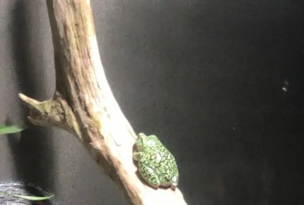 アクア・トト　ぎふの写真・動画_image_663777