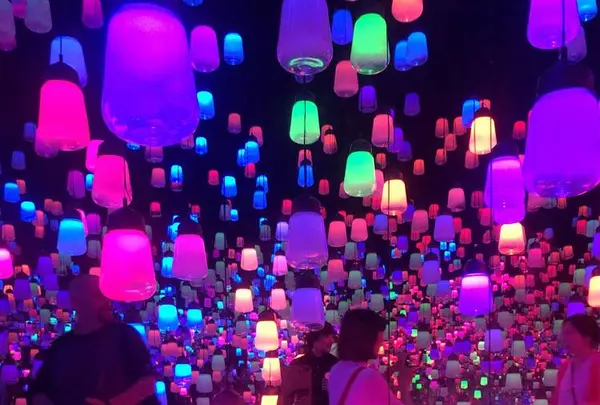 【閉業】森ビルデジタルアートミュージアム：エプソン チームラボボーダレス（MORI Building Digital Art Museum: EPSON teamLab Borderless）の写真・動画_image_663833