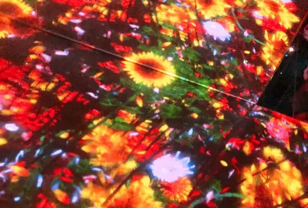 【閉業】森ビルデジタルアートミュージアム：エプソン チームラボボーダレス（MORI Building Digital Art Museum: EPSON teamLab Borderless）の写真・動画_image_663834