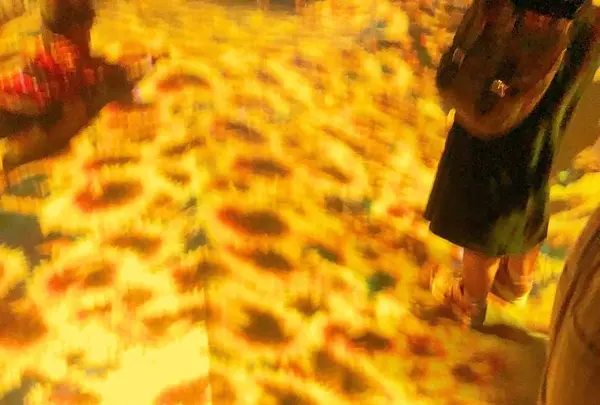 【閉業】森ビルデジタルアートミュージアム：エプソン チームラボボーダレス（MORI Building Digital Art Museum: EPSON teamLab Borderless）の写真・動画_image_663835