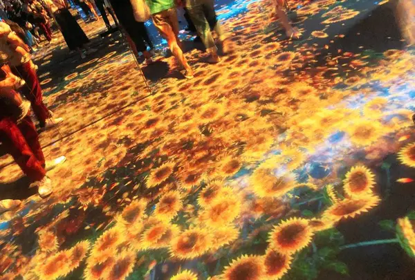 【閉業】森ビルデジタルアートミュージアム：エプソン チームラボボーダレス（MORI Building Digital Art Museum: EPSON teamLab Borderless）の写真・動画_image_663836