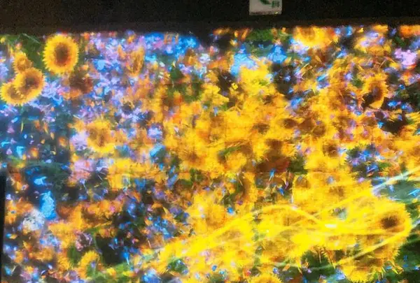 【閉業】森ビルデジタルアートミュージアム：エプソン チームラボボーダレス（MORI Building Digital Art Museum: EPSON teamLab Borderless）の写真・動画_image_663837