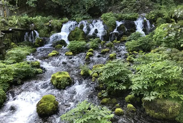 東慶寺の写真・動画_image_664145