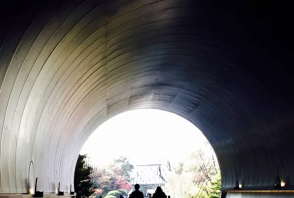 ミホミュージアム（バス）の写真・動画_image_664273