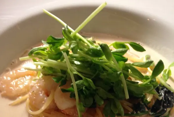 pasta.ハチトバーブの写真・動画_image_664293
