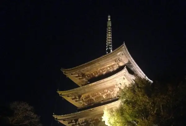 東寺（教王護国寺）の写真・動画_image_664296