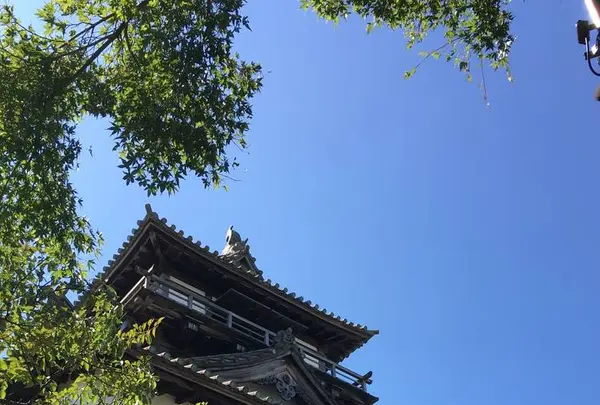 丸岡城天守閣の写真・動画_image_664332