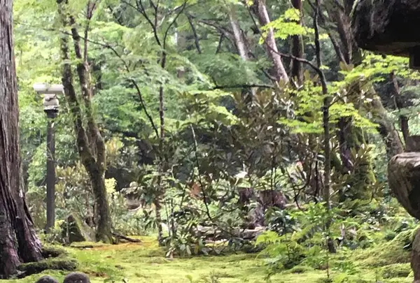 大原の写真・動画_image_664349