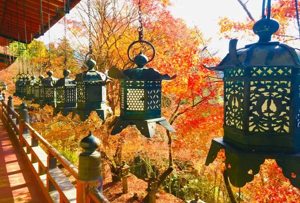 吉野山の写真・動画_image_664355