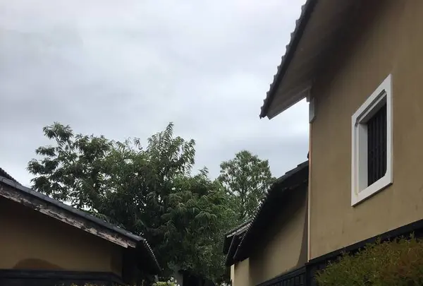 栗の小径の写真・動画_image_666012