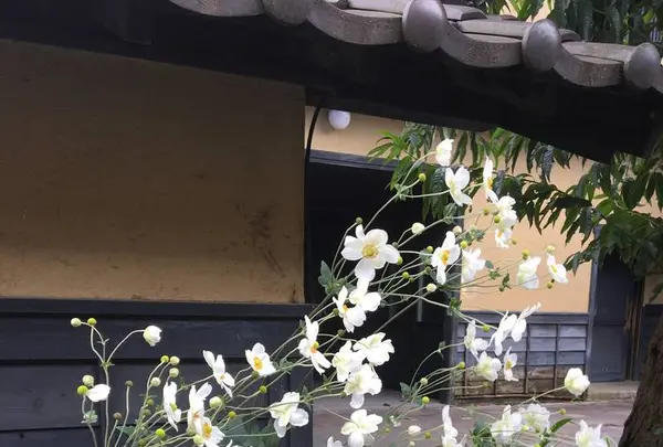 栗の小径の写真・動画_image_666013
