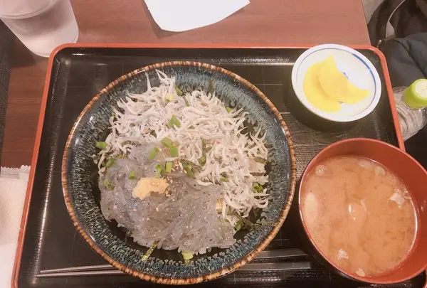 鎌倉駅の写真・動画_image_667898