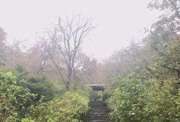 鎌倉駅の写真・動画_image_667899