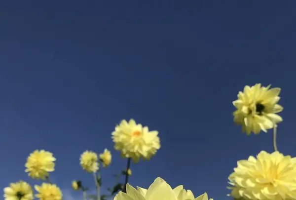 馬見丘陵公園の写真・動画_image_669155