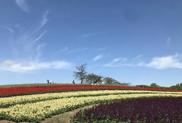 馬見丘陵公園の写真・動画_image_669156