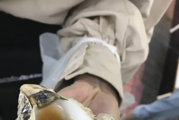 八食センター 味横丁の写真・動画_image_669588