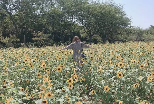 成田ゆめ牧場の写真・動画_image_669591