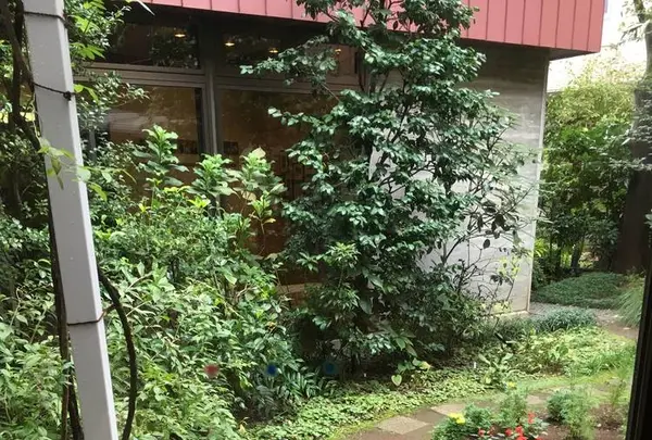 いわさきちひろ旧居跡の写真・動画_image_669909