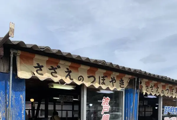 波戸岬の写真・動画_image_670159