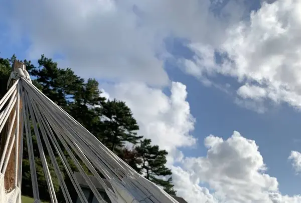 波戸岬キャンプ場の写真・動画_image_670162