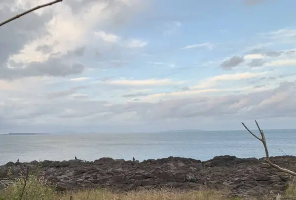 波戸岬キャンプ場の写真・動画_image_670163