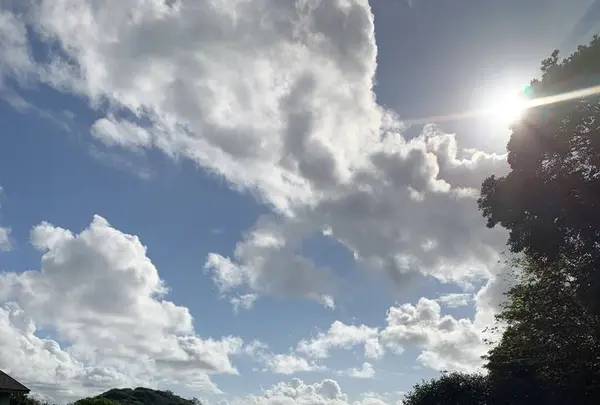 波戸岬キャンプ場の写真・動画_image_670164