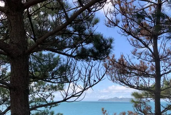 波戸岬キャンプ場の写真・動画_image_670165