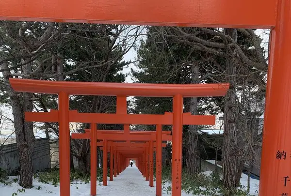 伏見稲荷神社の写真・動画_image_670694