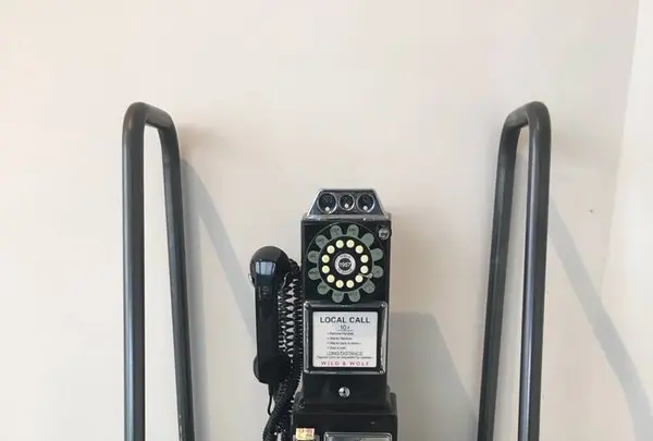 shiro 砂川本店の写真・動画_image_670702