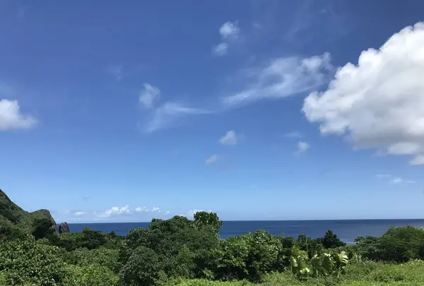 崎枝ビーチの写真・動画_image_670733