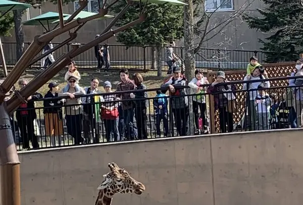 旭川市 旭山動物園の写真・動画_image_670738