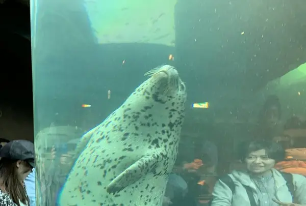 旭川市 旭山動物園の写真・動画_image_670739