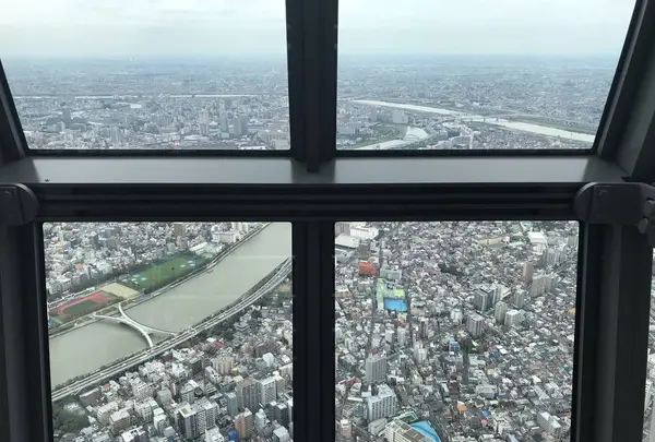 東京スカイツリーの写真・動画_image_671065