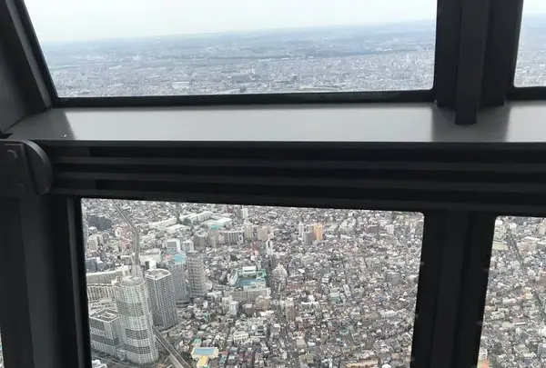 東京スカイツリーの写真・動画_image_671069