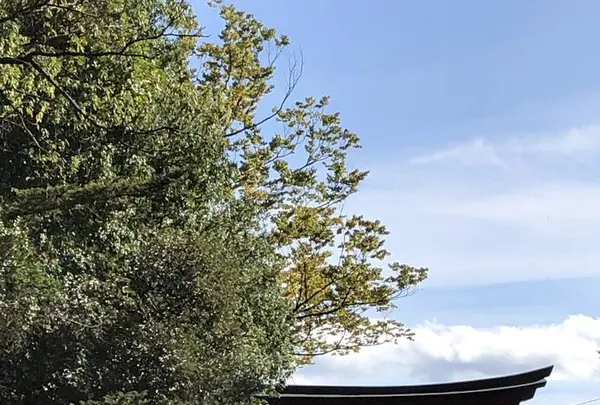 貫前神社の写真・動画_image_671598