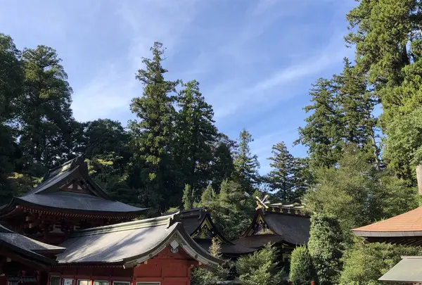 貫前神社の写真・動画_image_671599