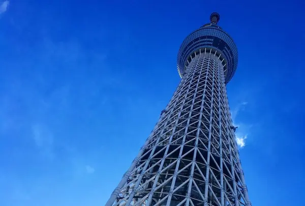 東京スカイツリーの写真・動画_image_671709