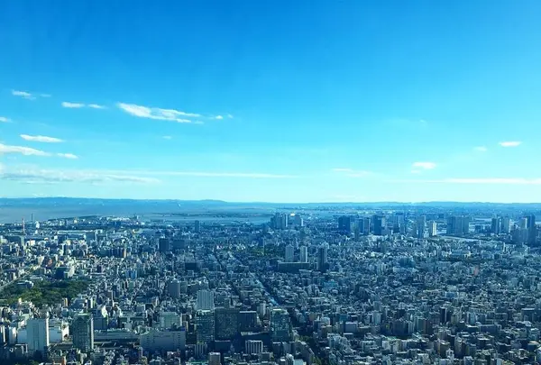 東京スカイツリーの写真・動画_image_671711